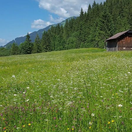 Naturzeithof Hirschegg (Vorarlberg) Kültér fotó