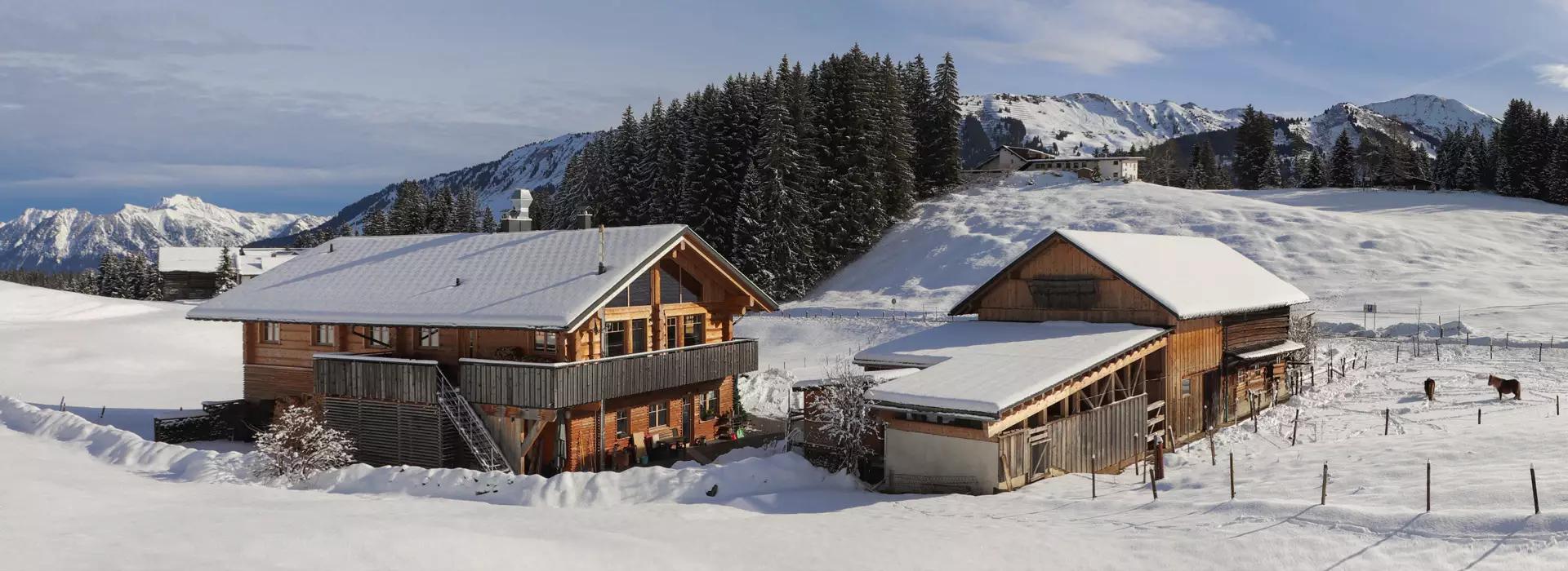 Naturzeithof Hirschegg (Vorarlberg) Kültér fotó